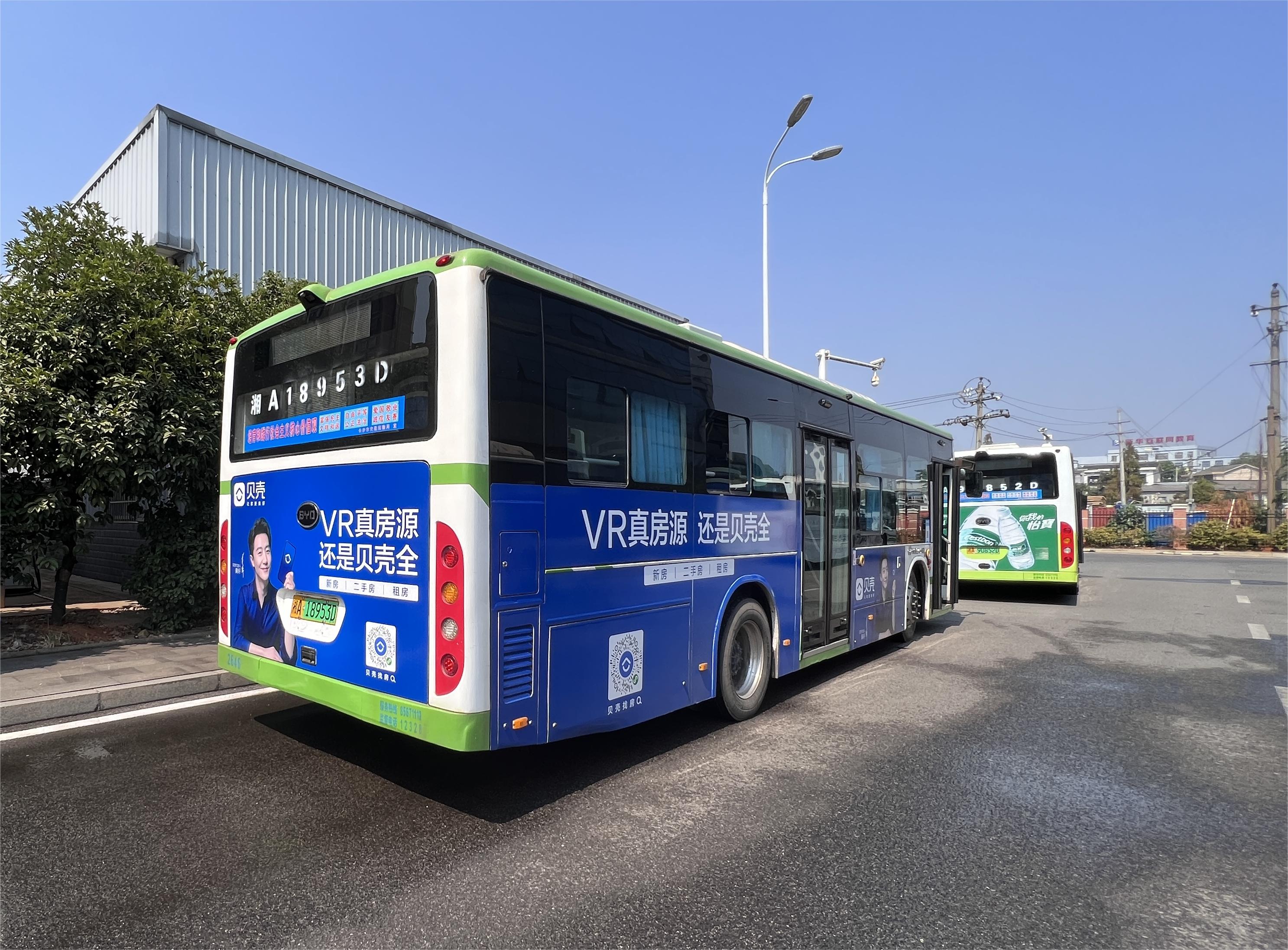 貝殼廣告案例